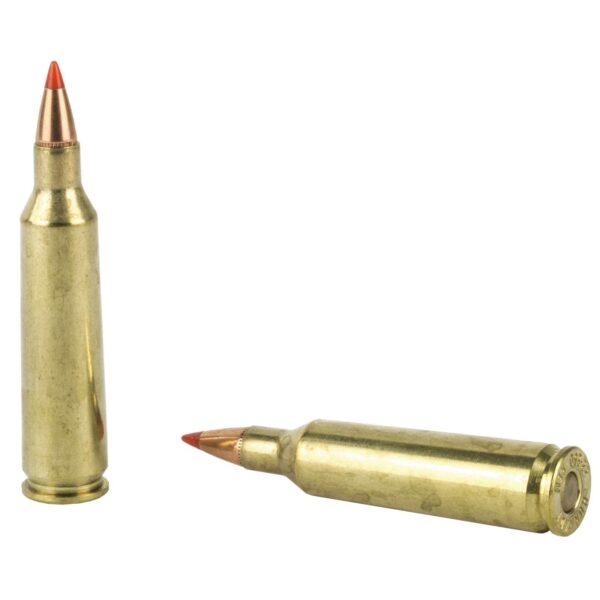 HORNADY VARMINT EXPRESS AMO 22-250 REM 55GR V-MAX 20RD (10 BOX CASE) - Image 3