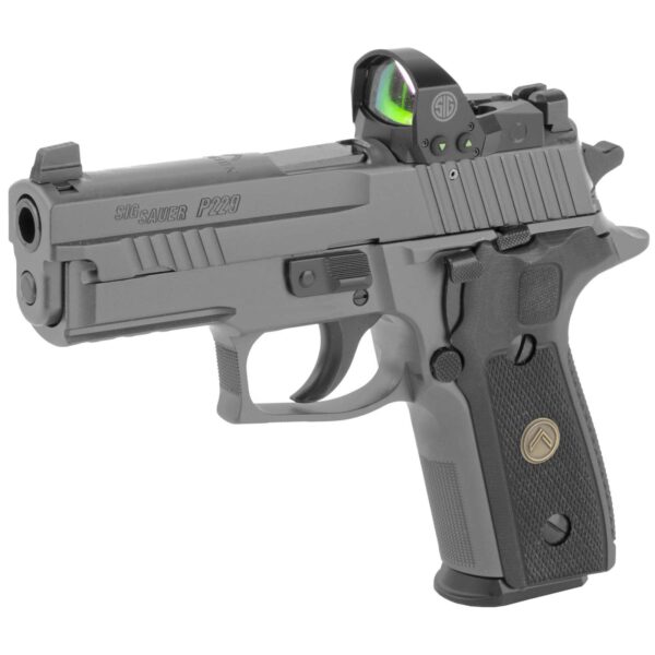 SIG SAUER P229 HGA 9MM 3.9IN BBL LEGION GRAY  DASA XR3 BLK G10 GRIP 3 15RD MAG ROMEO1PRO - Image 2