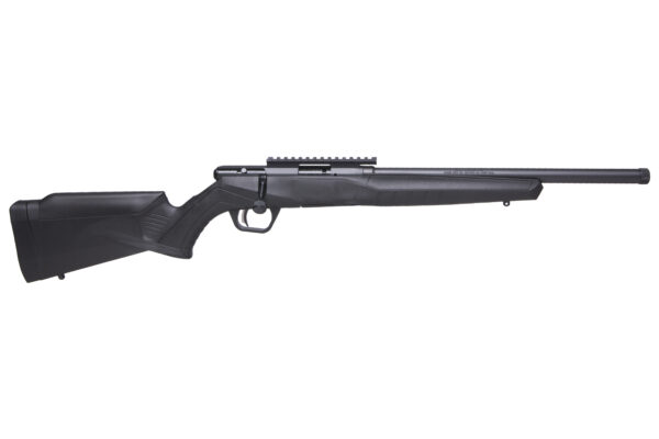 SAV B17FVSR 17HMR BA RFL 10RD