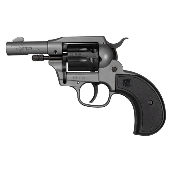 DIAMONDBACK FIREARMS SIDEKICK 22LR/22M GR BIRDSHEAD