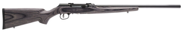 SAV A17TS 17HMR SA 10RD LAM