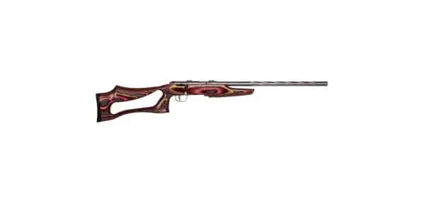 SAVAGE ARMS MARK II 22LR BOLT SS/EVO LAM