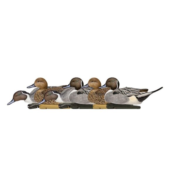 Avian-X Topflight Pintails Duck Decoys 6/ct