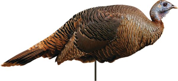 Montana Decoy Co Spring Fling Hen Decoy