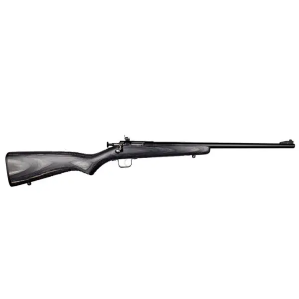 KEYSTONE SPORTING ARMS CRICKETT 22LR BL/BLACK LAM