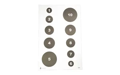 ACTION TGT CIR COMMAND TRNG 100PK